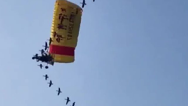 天呐，大雁群把滑翔机当队友了