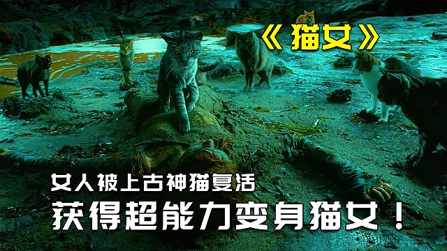 女人死后被上古神猫救活，从此有了猫神一样的超能力3