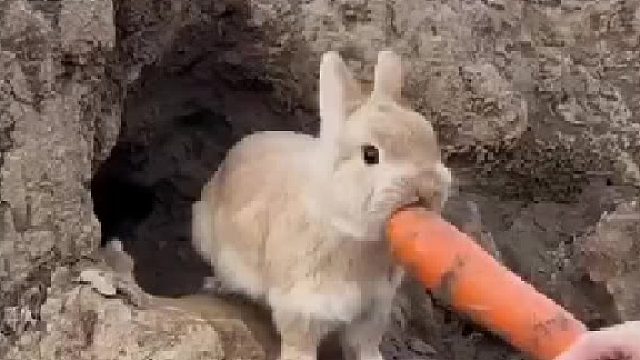 别说话  继续吃