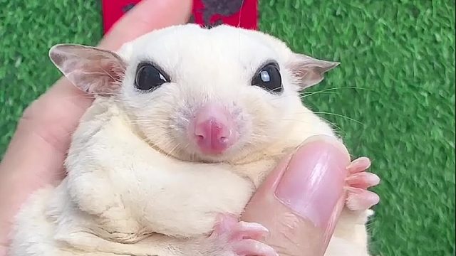 一不小心又吃胖了，想到了自己