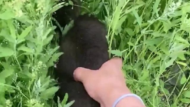 小熊：我妈就在附近，我希望你的妈妈也在