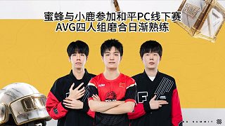蜜蜂與小鹿等人組隊參加和平精英pc線下賽！