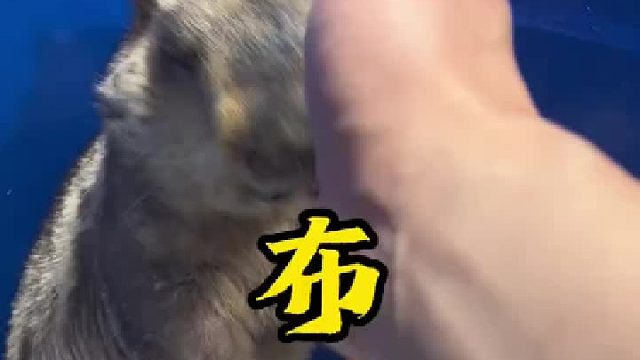 不不不