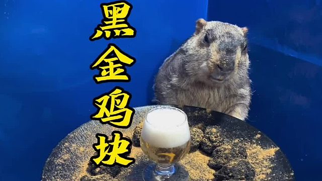 吃个黑金鸡块。