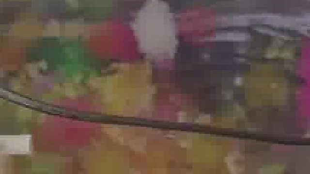 咋养不是养啊！