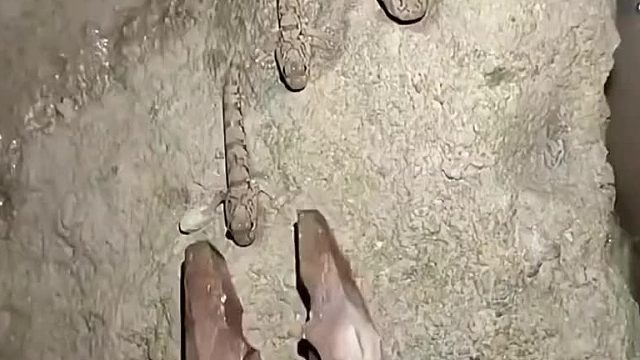 这种鱼让所有抓过它的人都怀疑人生！