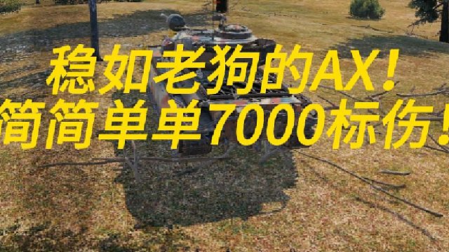 稳如神针的AX！标伤7000＋！