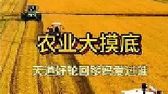 意外的農(nóng)業(yè)大摸底，引發(fā)全國網(wǎng)友熱議