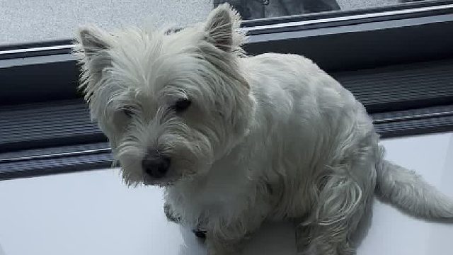 35度的天气，孩子这么做肯定有他的道理