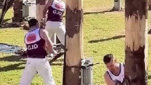 来看看国外的伐木比赛！