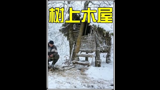 这绝对是荒野中采光最好的树上小木屋  (1)