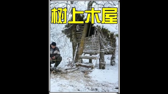 这绝对是荒野中采光最好的树上小木屋  (2)