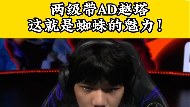 两级带AD越塔，这就是蜘蛛的魅力！