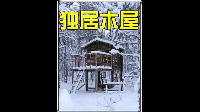 如果你在野外有一座这样的小木屋  (1)