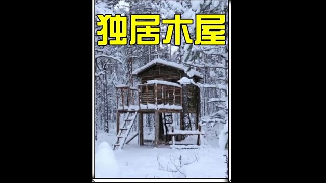 如果你在野外有一座这样的小木屋  (2)