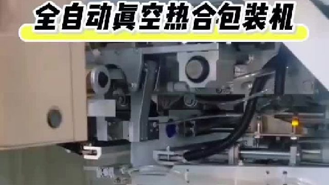 全自动真空热合包装机
