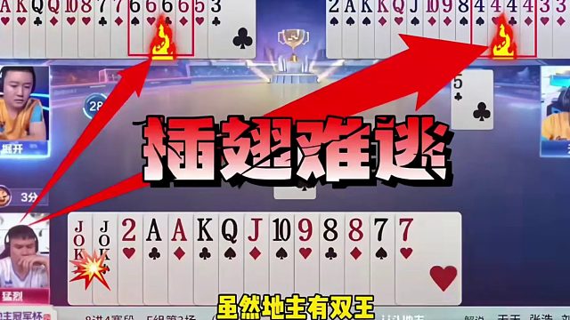 地主王炸22打不赢！能看懂的都是高手