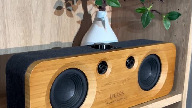 这次真的卷上天!千元级音质，百元级价格