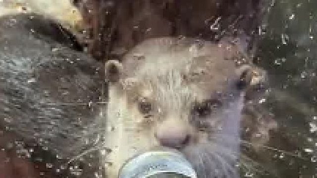 千万不要太老实