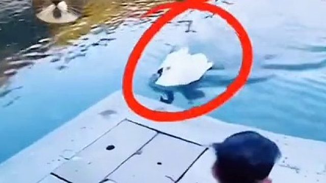 这是我的地盘，你的个老六