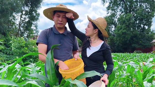 媳妇问老公一个问题，老公回答得滴水不漏，果然是夫妻