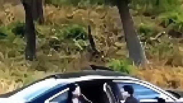 老板挺欣赏有才华有能力的人！