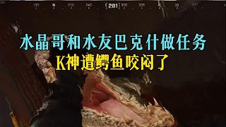 水晶哥和水友巴克什做任務(wù)，K神遭鱷魚咬悶了