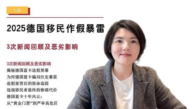 揭秘德国蓝卡造假黑幕