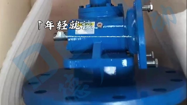 电工蜗轮立式丝杆升降器