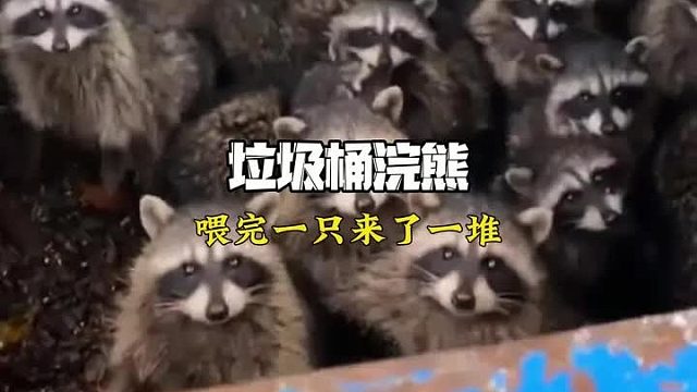 本以为是场救赎 没想到是来了一群债主