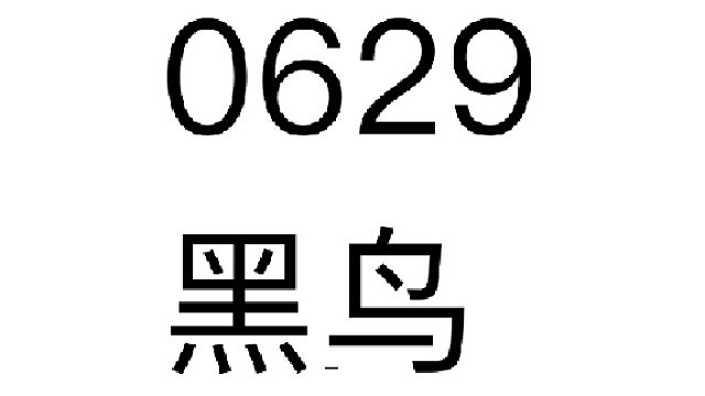 2025-06-29 08-17-13-黑鸟