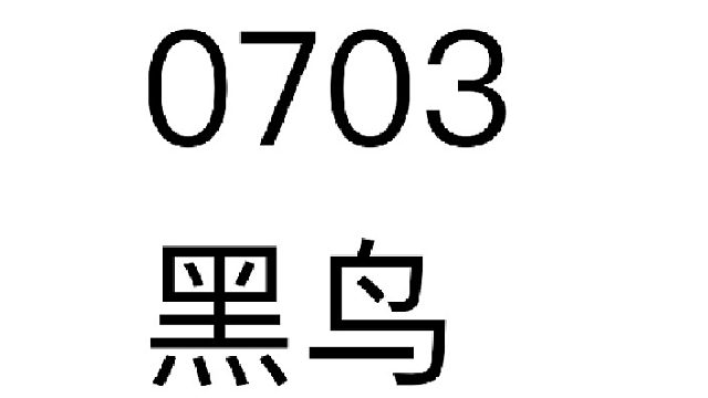 黑鸟2