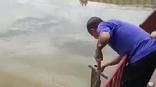 开闸泄洪闸门有序开启，网友：想知道怎么关上