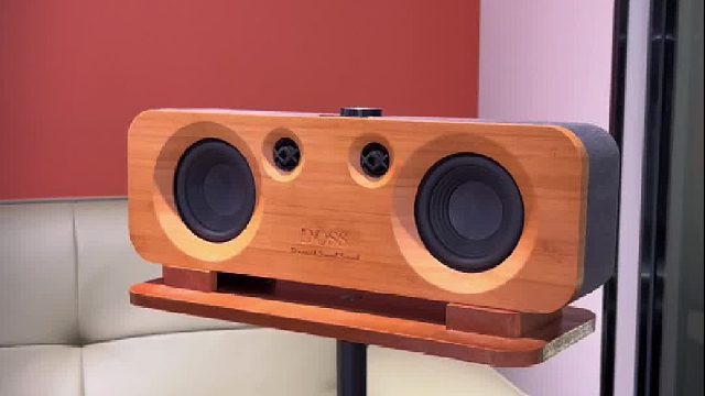 复古欧式与 HIFI 音质兼得，DOSS声浪居家音响