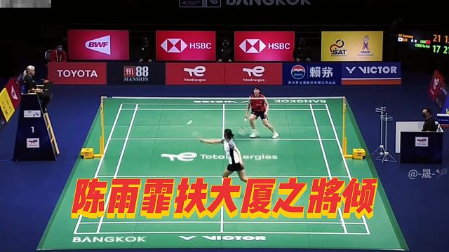 陈雨霏扶大厦之将倾