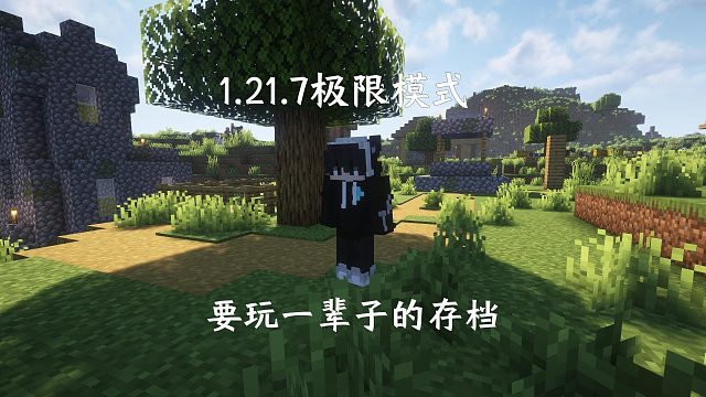 这是我要玩一辈子的存档（完结篇）