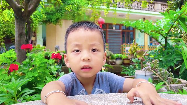 二胎出生3年，竟说出惊天大秘密，让人刮目相看！