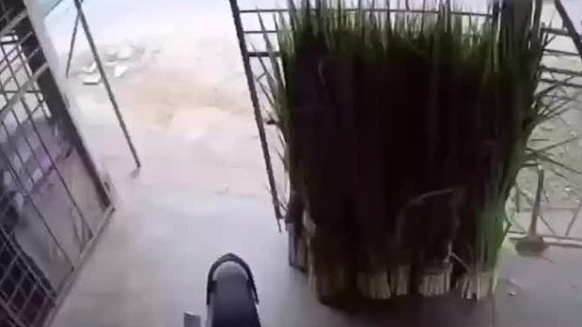 问 -一共有几个倒霉鬼