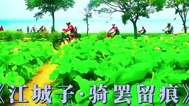 《江城子·骑罢留痕》