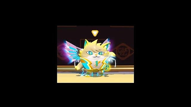 最后的选择对吗