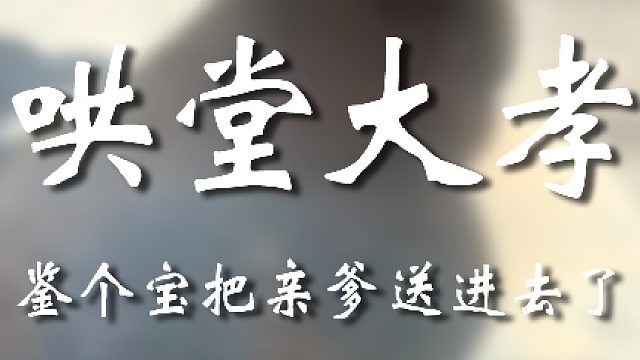 真是你爹的好大儿啊