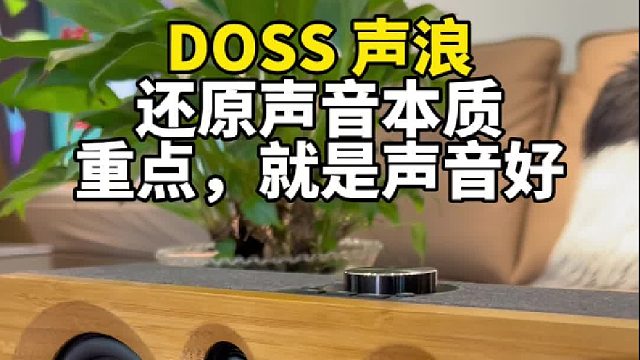 复古欧式美学，HIFI音质更是让人陶醉其中