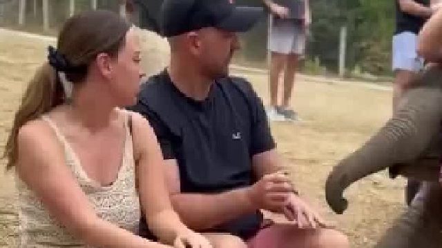 小象的心愿居然是勾肩搭背！