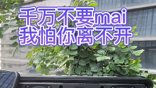 音响标杆，光拿手上就很有分量感