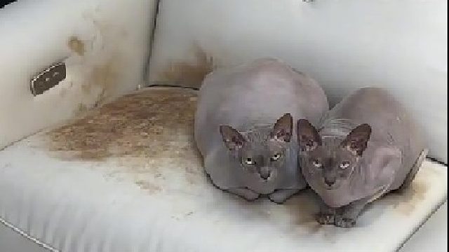 快说吧，还有什么招？