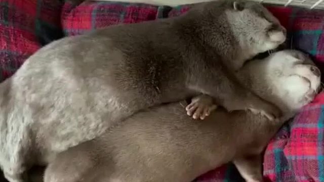 热热热，别抱我了！！！