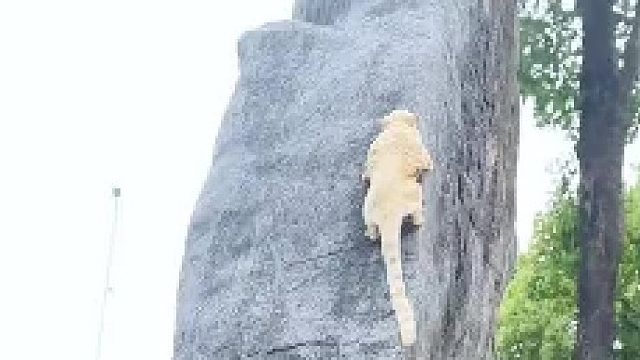 放弃很容易，但坚持一定很酷。你有多努力，就有多特殊！