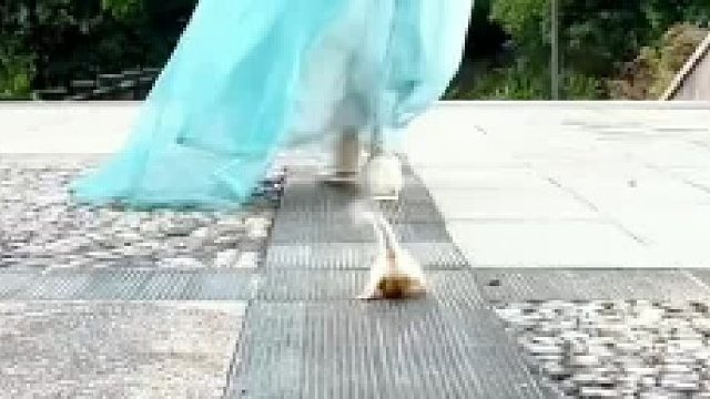 知我者，谓我心忧。不知我者，谓我何求。生而悦己，而非困于他人，我与我周旋久，宁作我