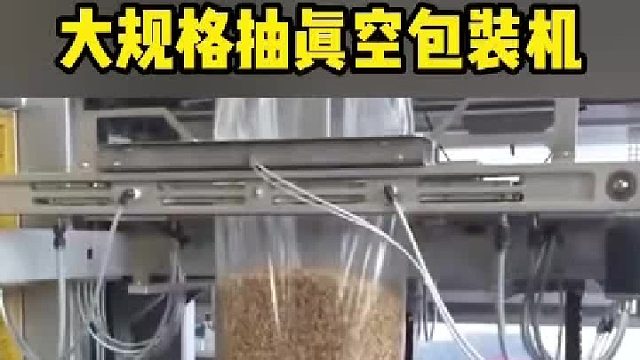 谷物杂粮大规格抽真空包装机颗粒物料定量 制袋 抽真空
