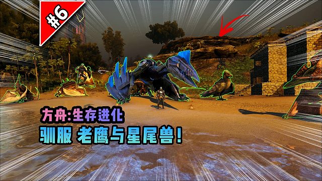 方舟第6期：驯服老鹰与星尾兽！